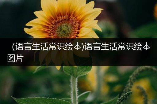 （语言生活常识绘本)语言生活常识绘本图片