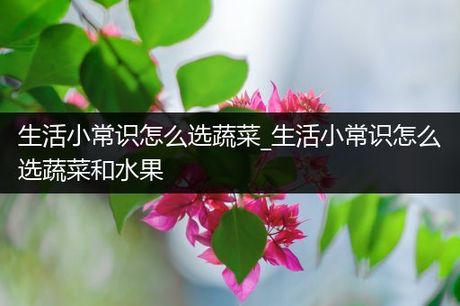 生活小常识怎么选蔬菜_生活小常识怎么选蔬菜和水果