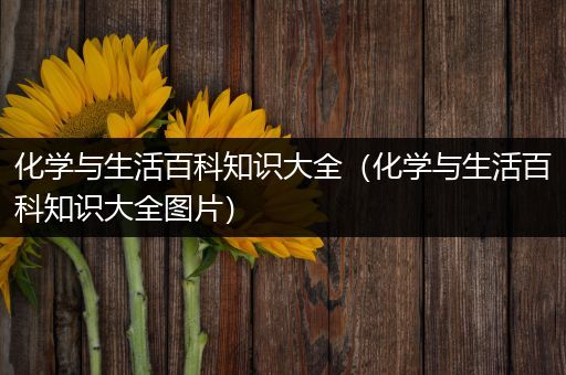 化学与生活百科知识大全（化学与生活百科知识大全图片）