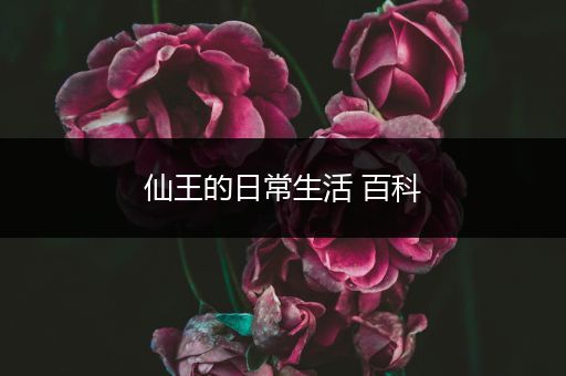 仙王的日常生活 百科