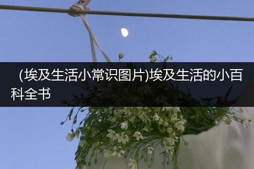 （埃及生活小常识图片)埃及生活的小百科全书