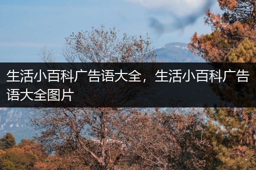 生活小百科广告语大全，生活小百科广告语大全图片