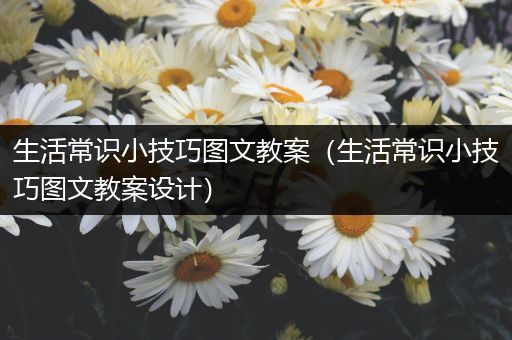 生活常识小技巧图文教案（生活常识小技巧图文教案设计）