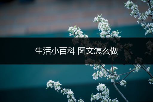 生活小百科 图文怎么做