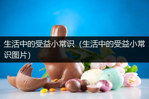 生活中的受益小常识（生活中的受益小常识图片）