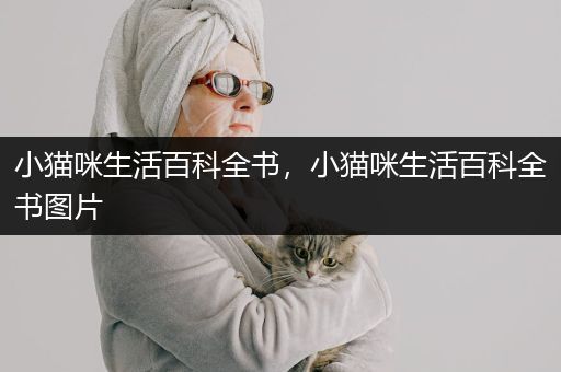 小猫咪生活百科全书，小猫咪生活百科全书图片