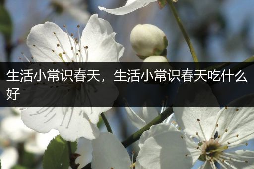 生活小常识春天，生活小常识春天吃什么好