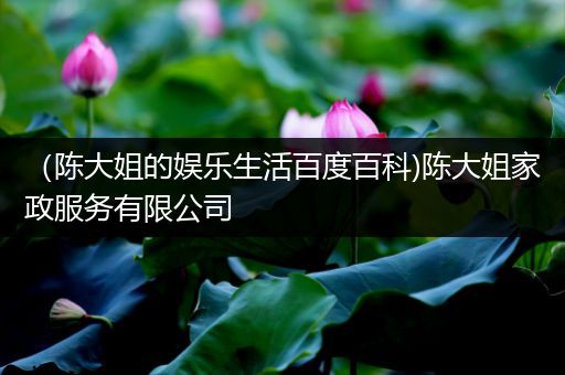 （陈大姐的娱乐生活百度百科)陈大姐家政服务有限公司