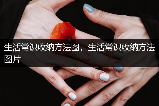 生活常识收纳方法图，生活常识收纳方法图片