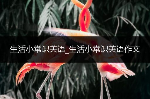 生活小常识英语_生活小常识英语作文