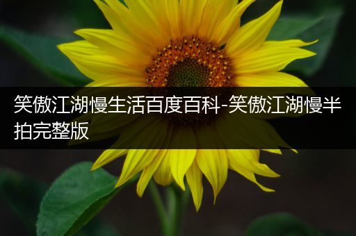 笑傲江湖慢生活百度百科-笑傲江湖慢半拍完整版