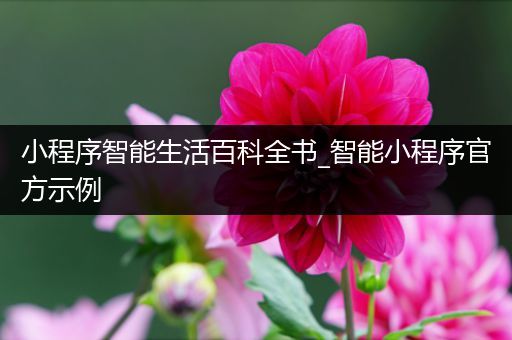 小程序智能生活百科全书_智能小程序官方示例