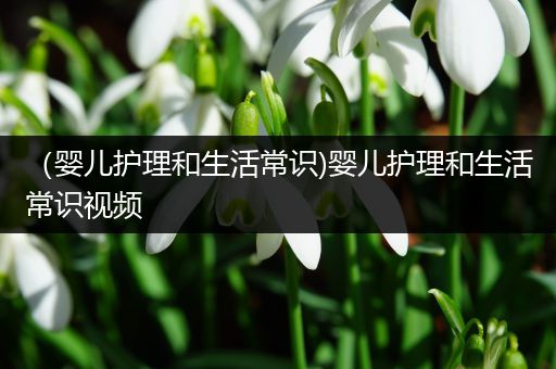 （婴儿护理和生活常识)婴儿护理和生活常识视频