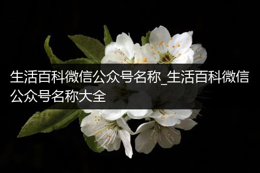 生活百科微信公众号名称_生活百科微信公众号名称大全