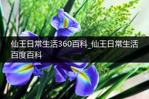 仙王日常生活360百科_仙王日常生活百度百科