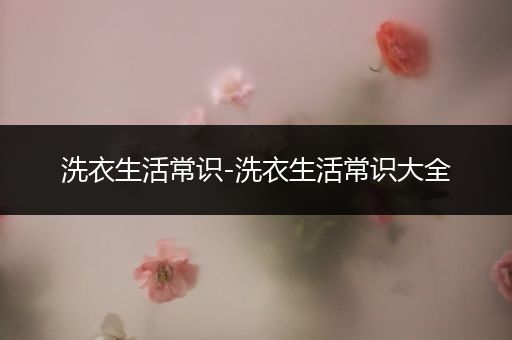 洗衣生活常识-洗衣生活常识大全