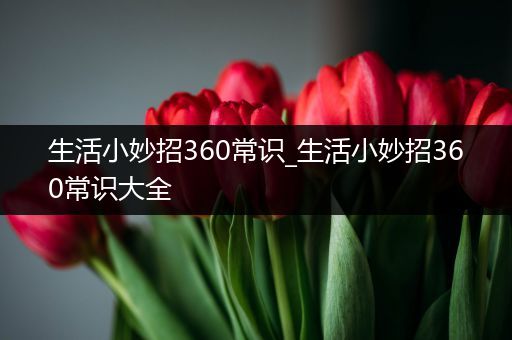 生活小妙招360常识_生活小妙招360常识大全