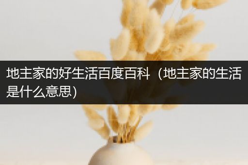 地主家的好生活百度百科（地主家的生活是什么意思）