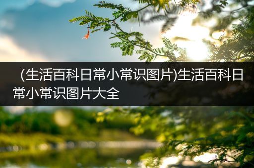 （生活百科日常小常识图片)生活百科日常小常识图片大全