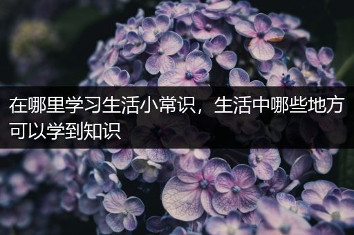 在哪里学习生活小常识，生活中哪些地方可以学到知识