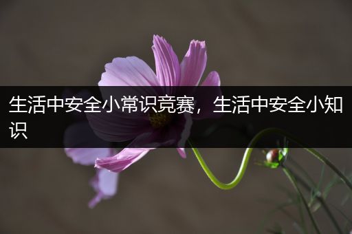 生活中安全小常识竞赛，生活中安全小知识