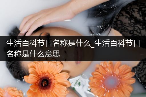 生活百科节目名称是什么_生活百科节目名称是什么意思