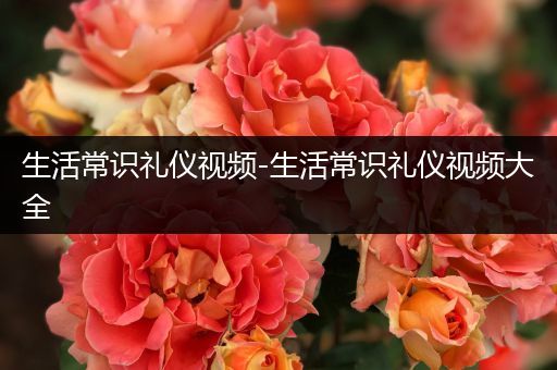 生活常识礼仪视频-生活常识礼仪视频大全