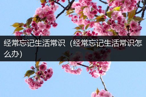 经常忘记生活常识（经常忘记生活常识怎么办）