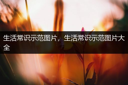 生活常识示范图片，生活常识示范图片大全