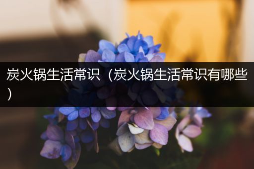 炭火锅生活常识（炭火锅生活常识有哪些）