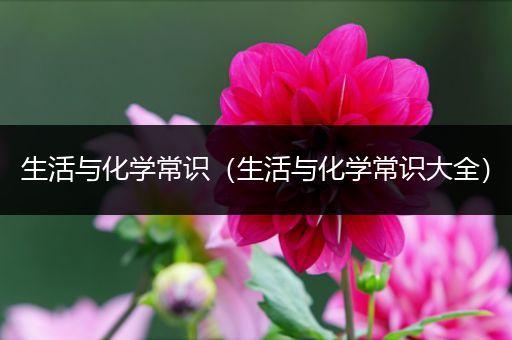 生活与化学常识（生活与化学常识大全）