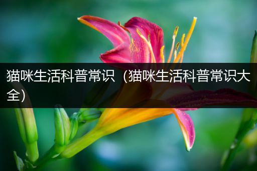 猫咪生活科普常识（猫咪生活科普常识大全）