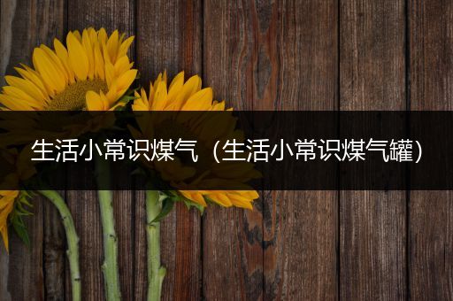 生活小常识煤气（生活小常识煤气罐）