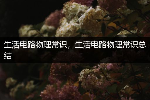 生活电路物理常识，生活电路物理常识总结
