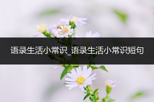 语录生活小常识_语录生活小常识短句