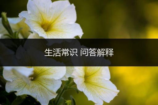 生活常识 问答解释