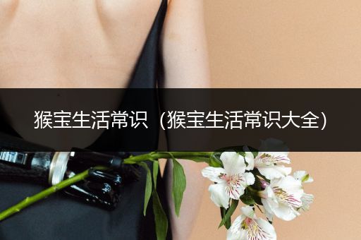 猴宝生活常识（猴宝生活常识大全）
