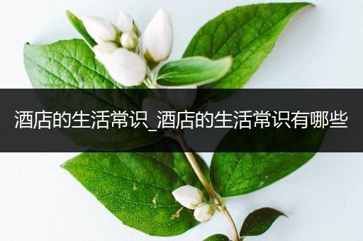 酒店的生活常识_酒店的生活常识有哪些