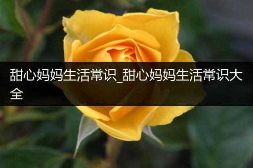 甜心妈妈生活常识_甜心妈妈生活常识大全