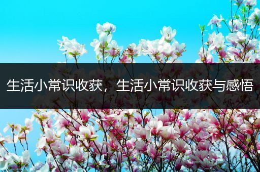 生活小常识收获，生活小常识收获与感悟