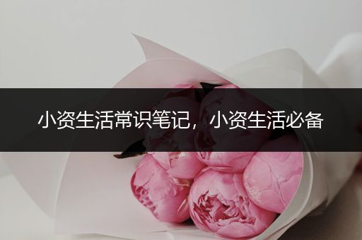 小资生活常识笔记，小资生活必备