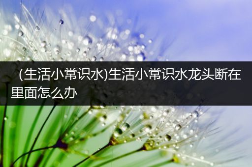 （生活小常识水)生活小常识水龙头断在里面怎么办