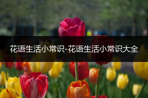 花语生活小常识-花语生活小常识大全