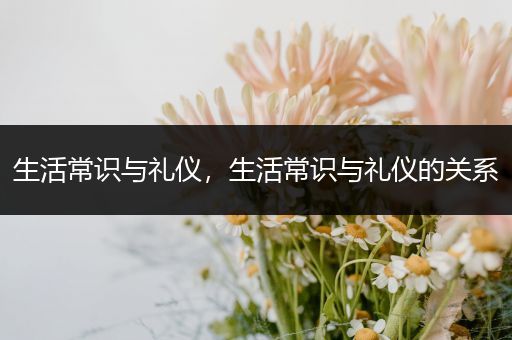 生活常识与礼仪，生活常识与礼仪的关系