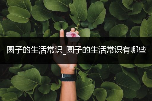 圆子的生活常识_圆子的生活常识有哪些