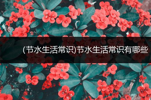 （节水生活常识)节水生活常识有哪些