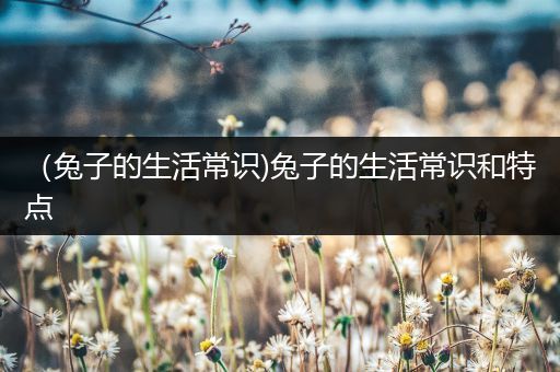 （兔子的生活常识)兔子的生活常识和特点