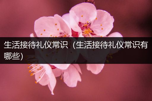 生活接待礼仪常识（生活接待礼仪常识有哪些）