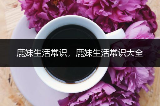 鹿妹生活常识，鹿妹生活常识大全