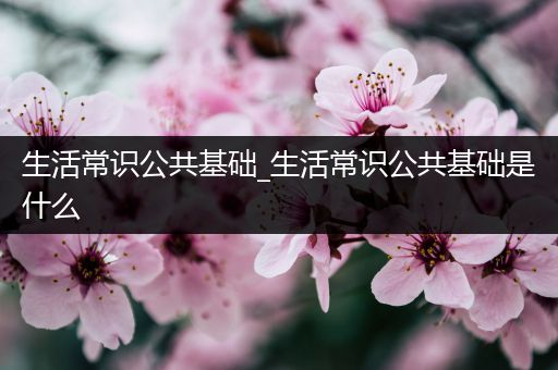 生活常识公共基础_生活常识公共基础是什么